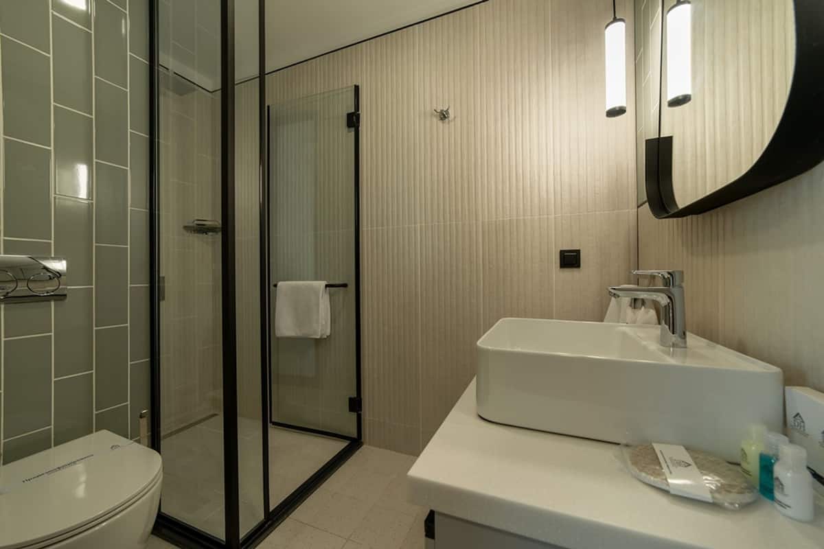 A modern bathroom with a glass shower enclosure, a white sink, and a mirror.