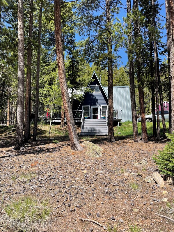 A cabin surrounded by tall pine trees, with a clear sky above.