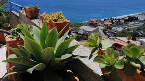 Ein Balkon mit Blumentöpfen und Blick auf eine Küstenstadt sowie das Meer.