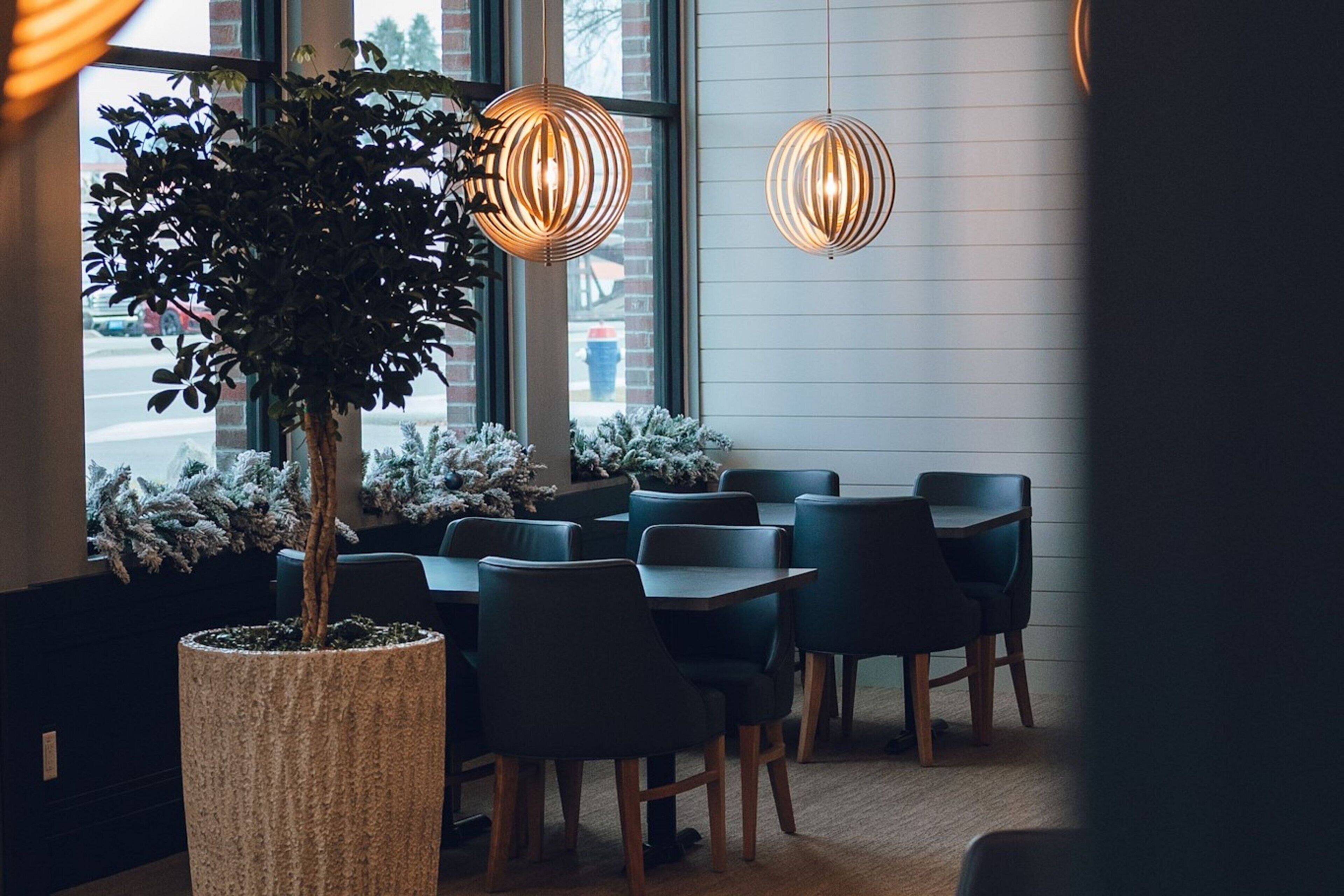 Un espace intérieur accueillant avec des tables et des chaises, un grand arbre en pot et des lampes suspendues.