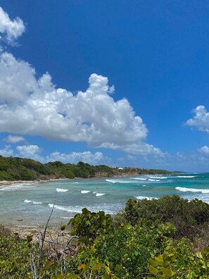 Playa en los alrededores y camastros