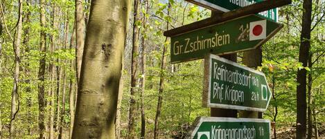 A directional signpost in a forest with multiple arrows pointing to various destinations.