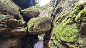 Eine schmale Schlucht mit moosbewachsenen Felsen und einem unbefestigten Pfad.