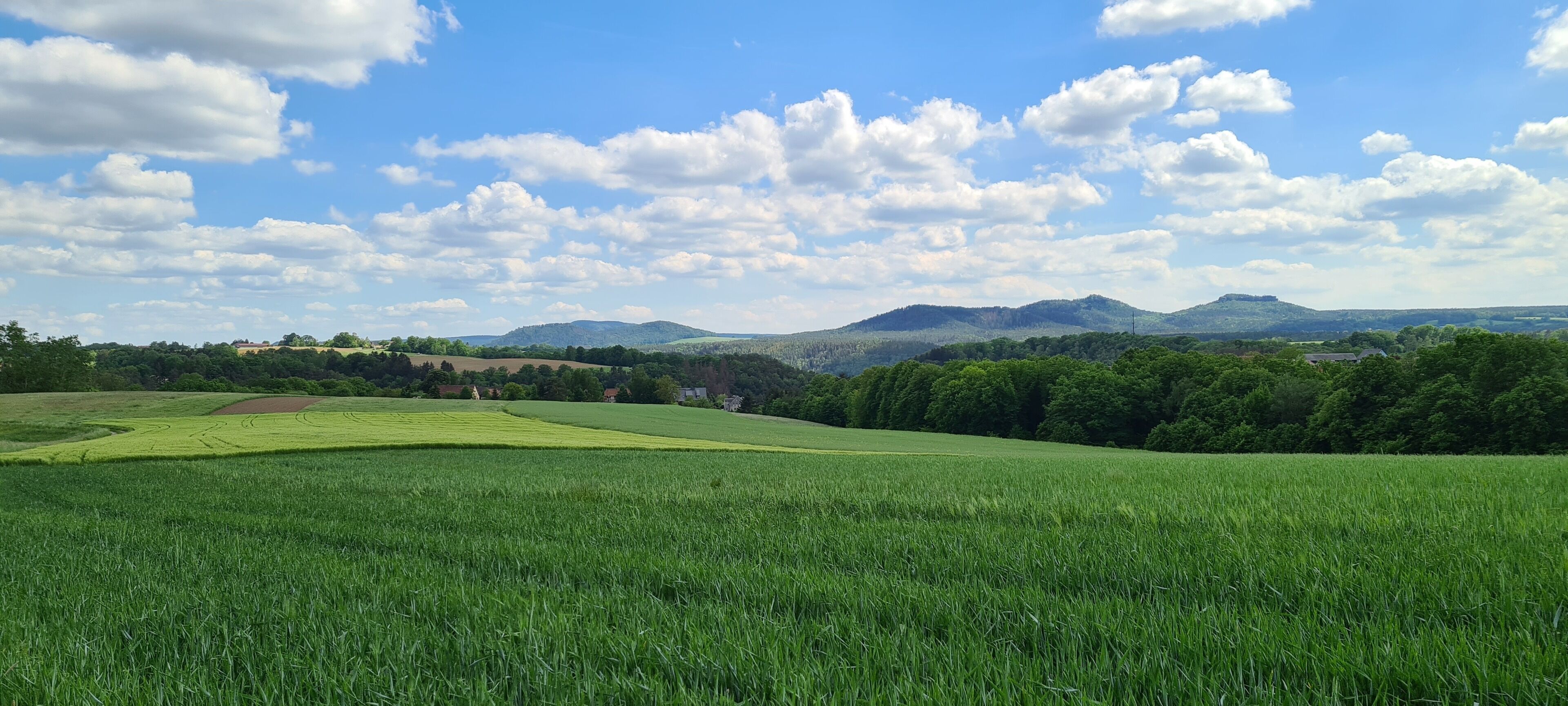 A vast green field with a clear sky and distant mountains.