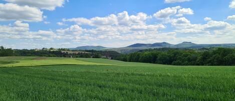 A vast green field with a clear sky and distant mountains.