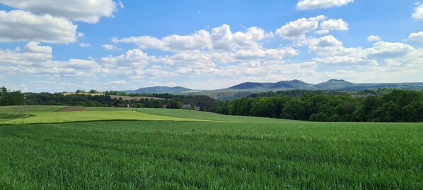 Un vaste champ verdoyant, sous un ciel dégagé, avec des montagnes qui se dessinent à l’horizon.