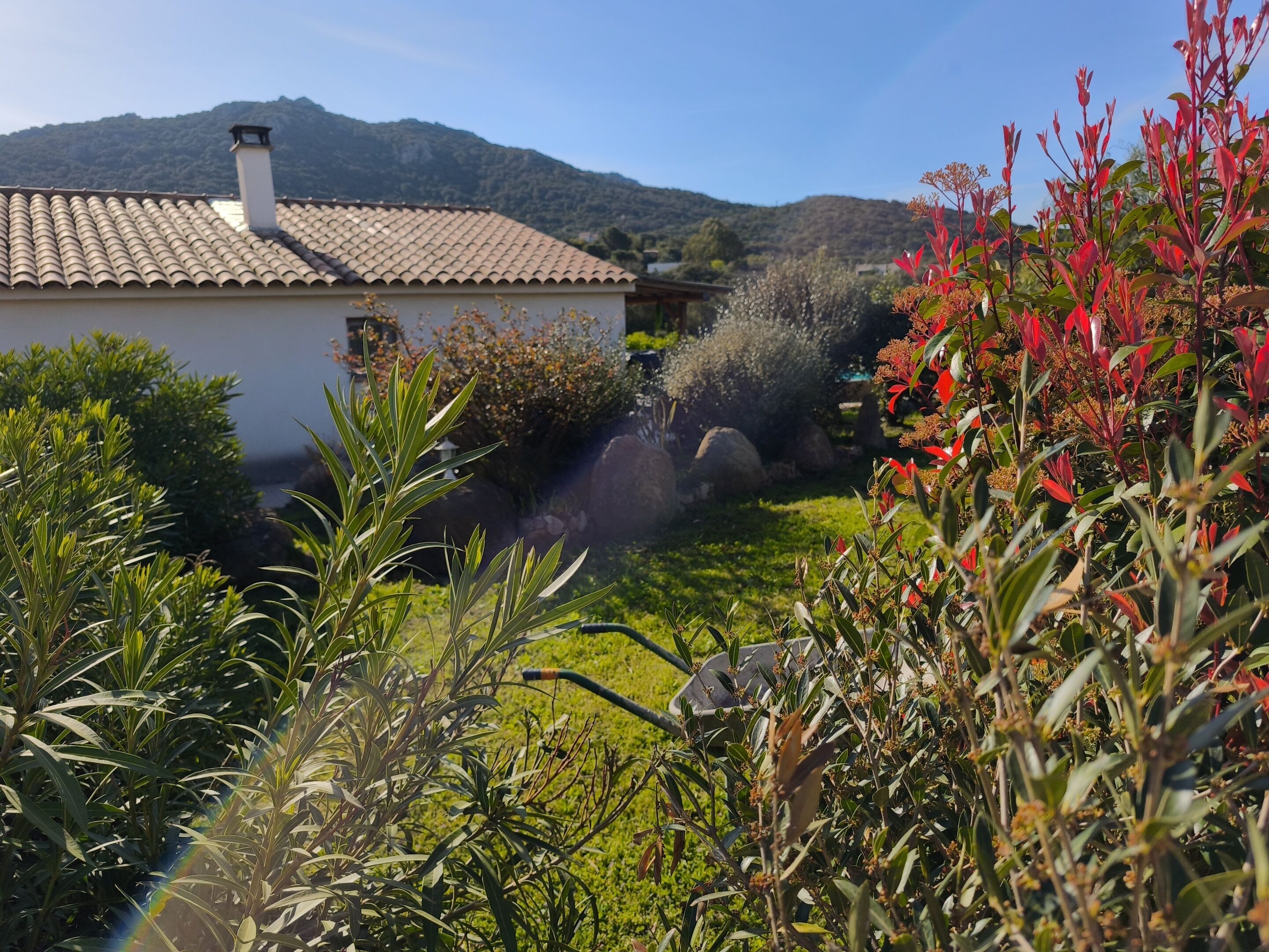 Phòng đôi, có phòng tắm riêng, quang cảnh vườn | Vườn