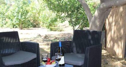 Large yet Cozy Home in Golan