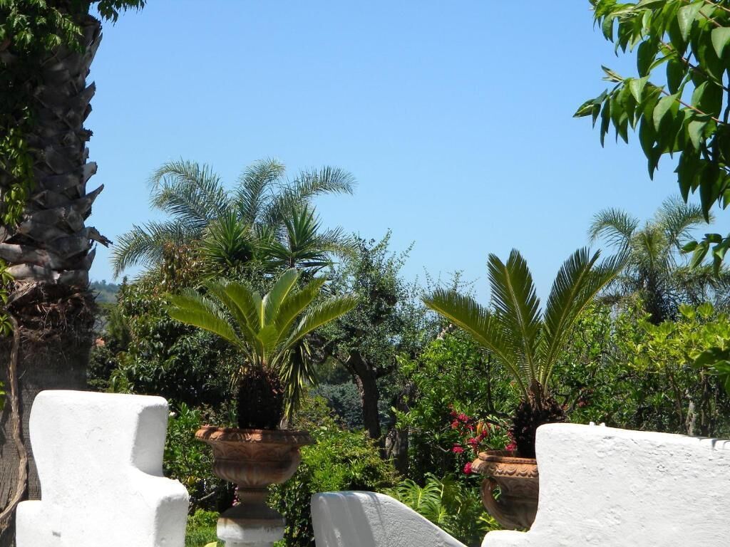 Een tuin met potplanten en witte stenen bouwsels.