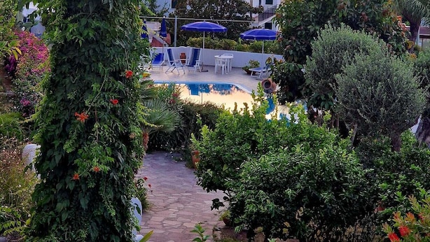 A garden with a pool, surrounded by lush greenery and a sunset in the background. - Hotel Parco Conte (Casamicciola Terme)