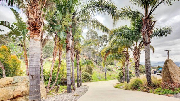 A pathway lined with palm trees and large rocks, leading through a landscaped area with a view of distant hills. - Mountaintop Ramona Home: Private Pool, Near Lake! (Ramona)