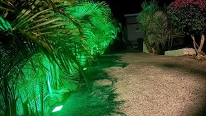A pathway lined with palm trees illuminated by green lights, leading to a building. - Logement "paprika" 2 À 6 Pers (Le Gosier)
