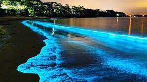 A beach with a glowing blue water effect.
