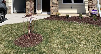 Awesome newly built townhouse in Asheville NC