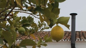 Un muro bianco con tetto in tegole, un camino nero e una panca con cuscini.