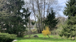 A grassy area with trees and a small yellow flowering bush. - Garten, Thermomix und Babybett (Ühlingen-Birkendorf)