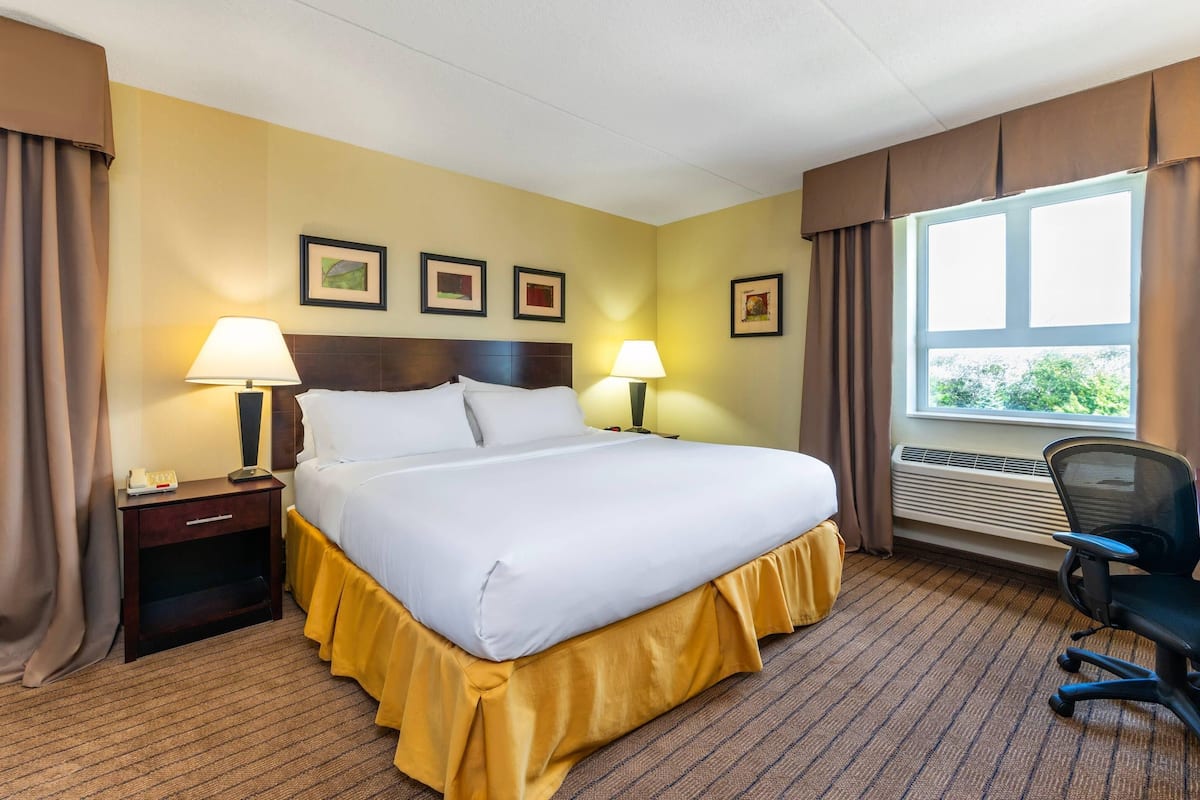 Standard Room, 1 King Bed, Non Smoking | Desk, laptop workspace, blackout drapes, iron/ironing board