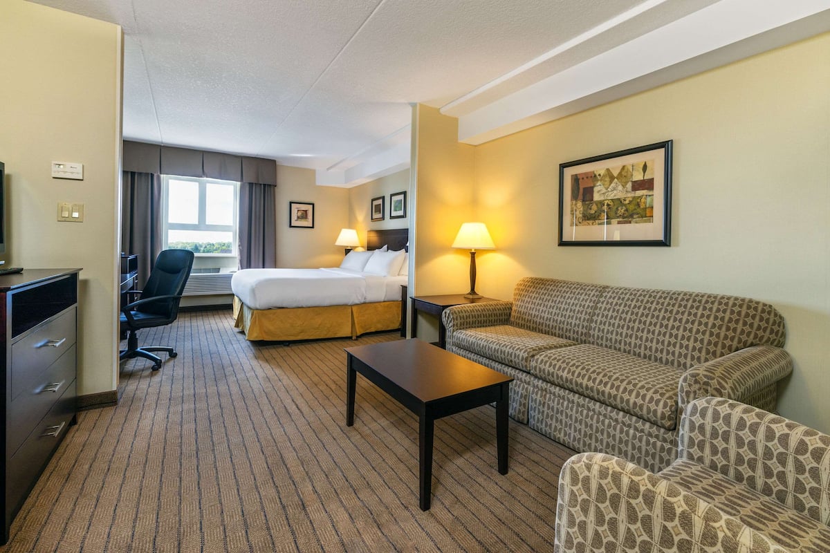 Standard Room, 1 King Bed with Sofa bed, Non Smoking | Desk, laptop workspace, blackout drapes, iron/ironing board
