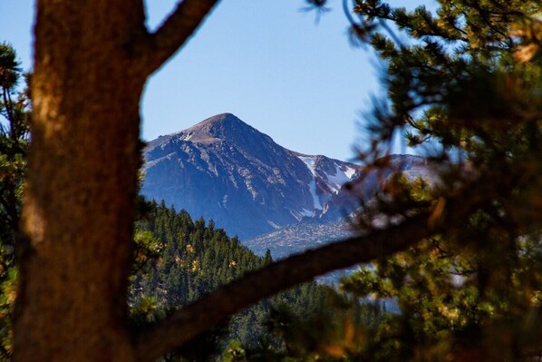 A mountain with a snow-capped peak, surrounded by dense forest.