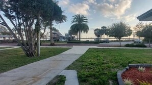 A residential property with a paved driveway, a well-maintained lawn, and a palm tree in the background.