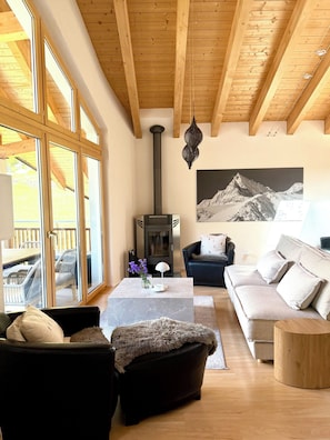 Smart-TV, Kamin