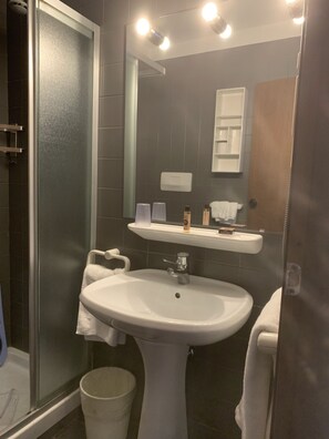 Een douche, een haardroger, een bidet, handdoeken