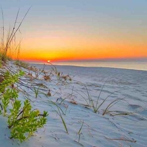 A beach scene with sand and sparse vegetation. - 5606 Pelican · Coastal Retreat - Modern Luxury Pool Bay View (Pensacola)