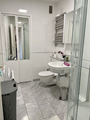 Dusche, Haartrockner, Seife, Toilettenpapier