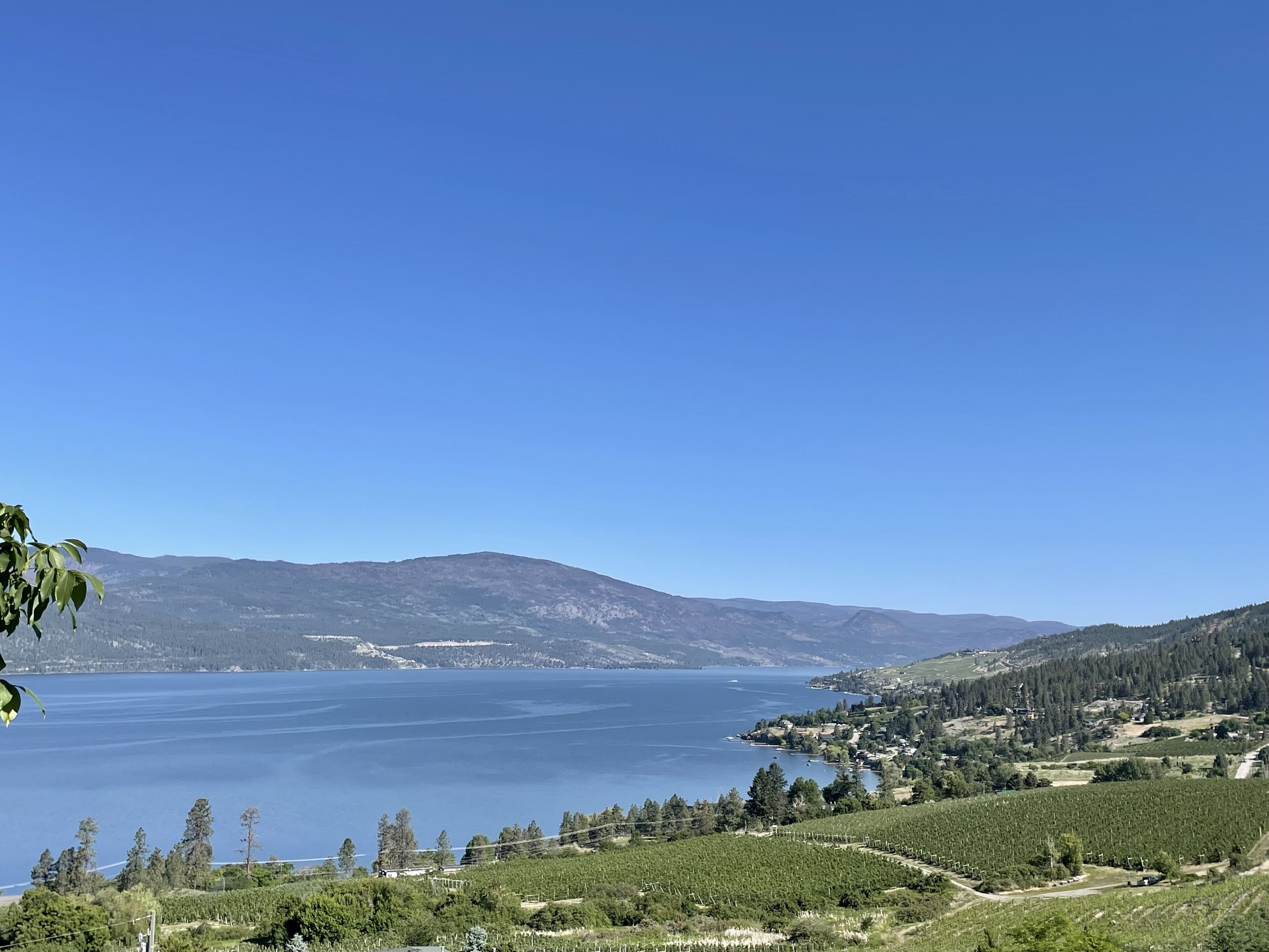 Enjoy the view of Okanagan Lake while relaxing on this private two acres of land