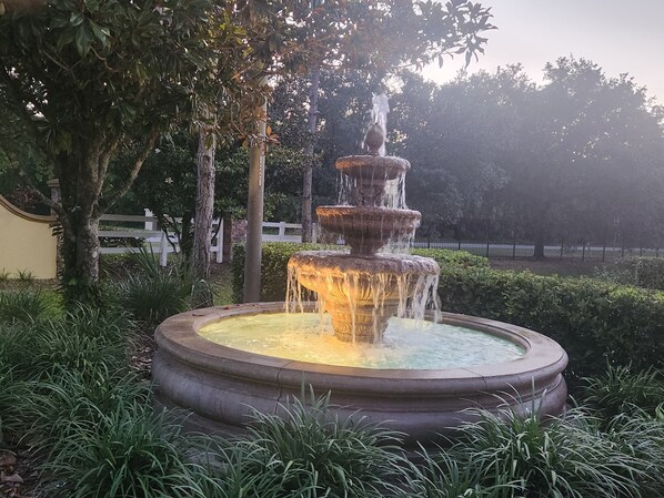 Property grounds - The Sun, Moon, Stars and more!! (Davenport)