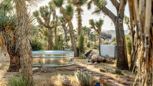 Un jardin désertique agrémenté de plantes de yucca, d’une cuve à eau en métal et d’un panneau solaire.
