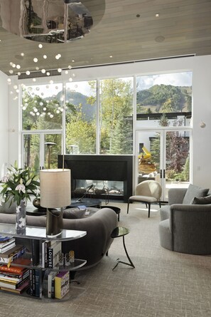 TV connectée, cheminée, lecteur de DVD, chaîne hi-fi