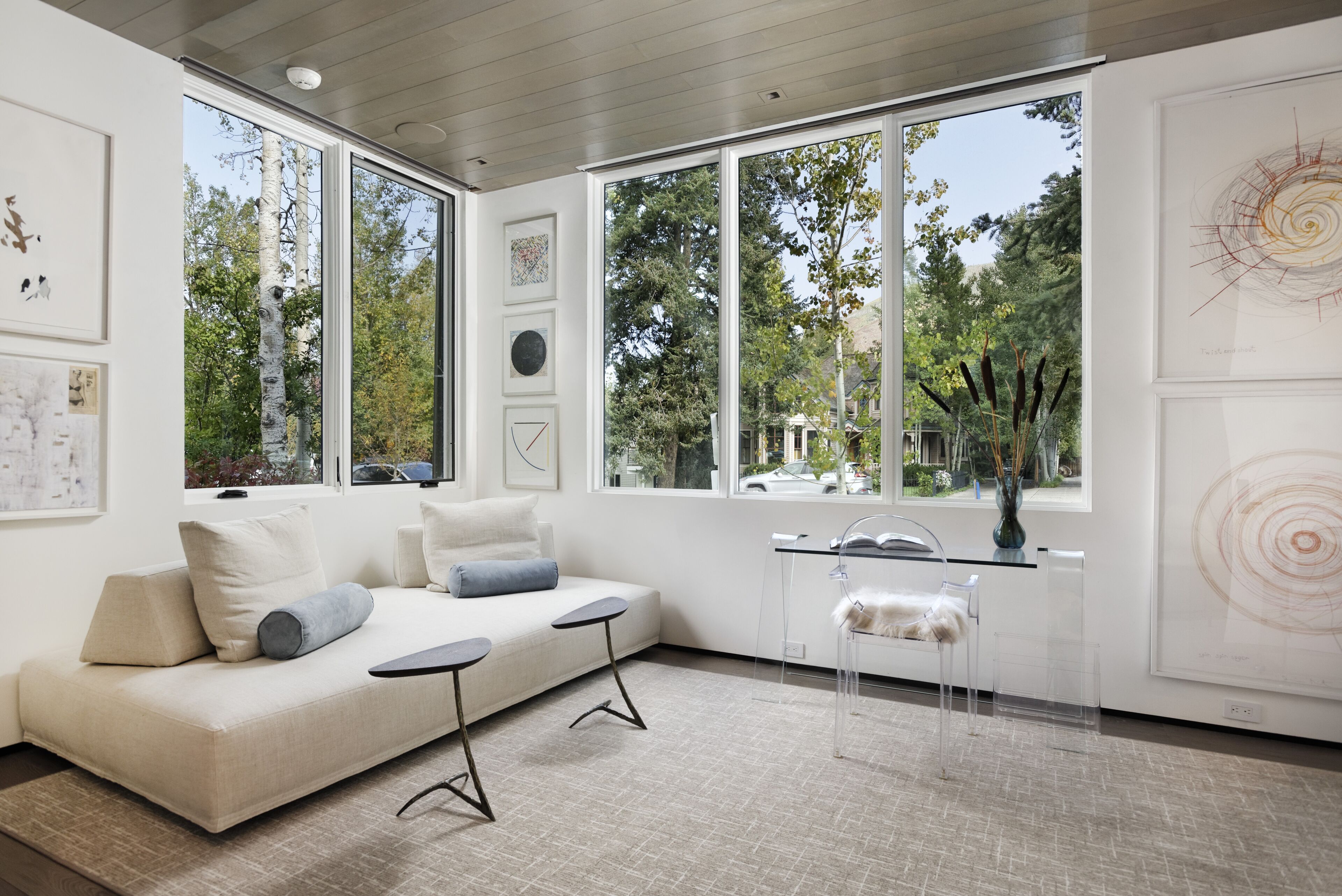 TV connectée, cheminée, lecteur de DVD, chaîne hi-fi