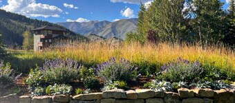 Riverside cabin with mountain views, fireplace, covered patio, firepit, & W/D