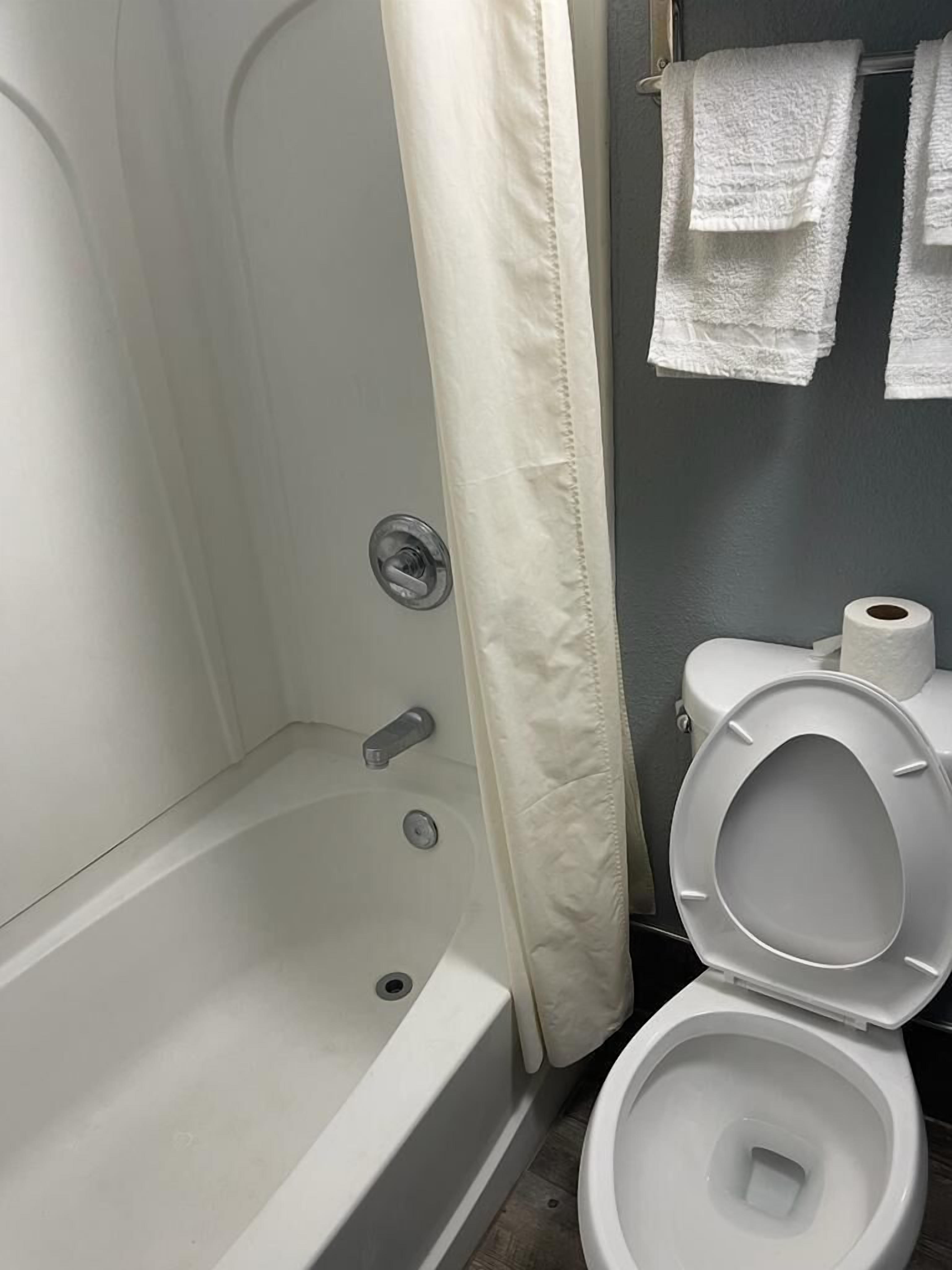 A bathroom with a bathtub, toilet, and a shower curtain.