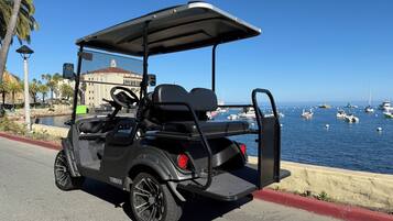 Ein schwarzer Golfwagen steht am Ufer, im Hintergrund sind Boote zu sehen.