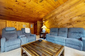 TV, fireplace, books