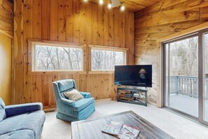 Televisión, chimenea y libros 