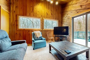 TV, fireplace, books