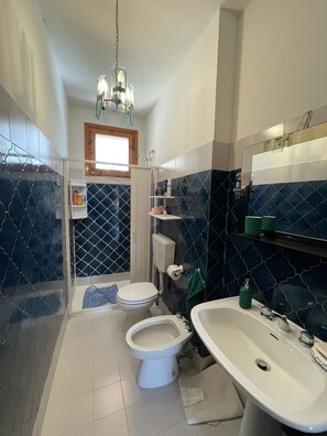 Shower, hair dryer, bidet, towels