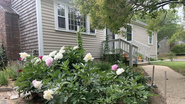 Uma casa residencial com um jardim frontal repleto de plantas e arbustos floridos.