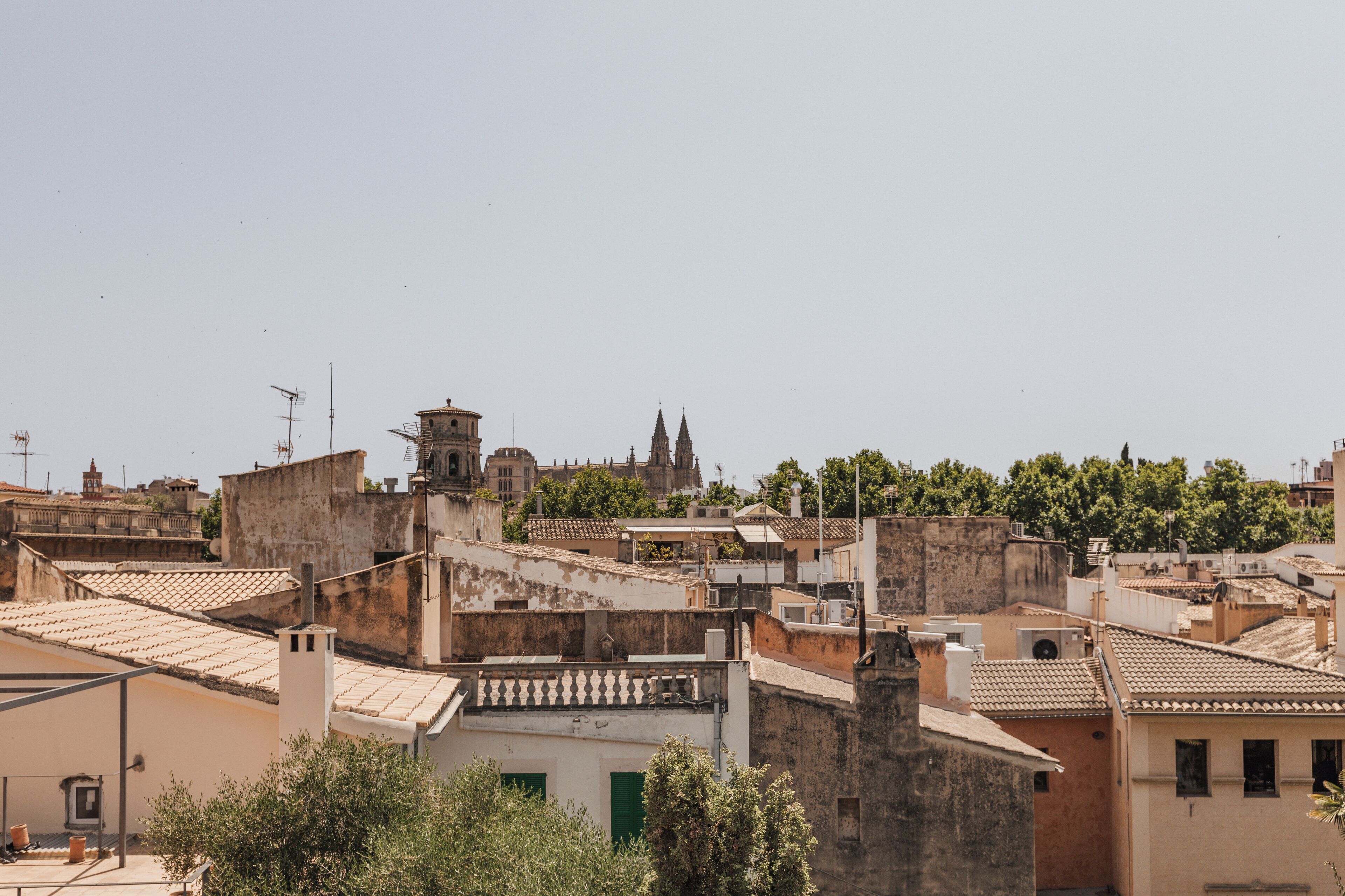 A cityscape with historical buildings, including a church with twin spires, and a tower with a clock.