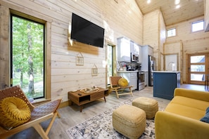 Smart TV, chimenea, videoteca y estéreo