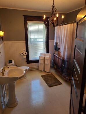 Combined shower/bathtub, jetted bath, hair dryer, towels