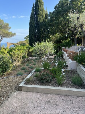 Jardines del alojamiento