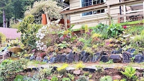 A landscaped garden with various plants and rocks, a wooden fence, and a house in the background. - Ticketmaster Chamber - Historic Lakefront Studio Cabin with Kayaking (oregon)