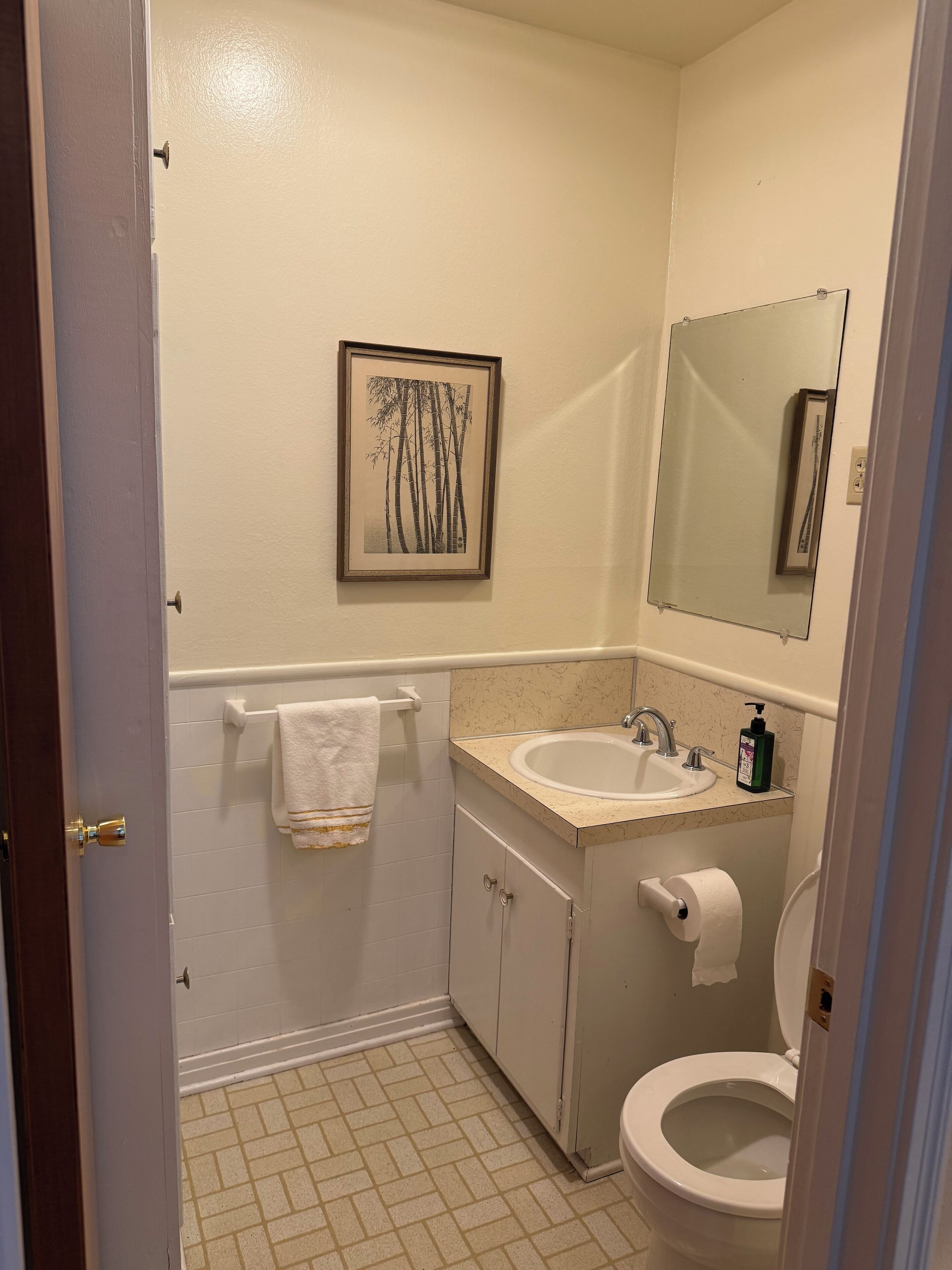 Hair dryer, towels, soap, shampoo