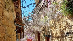 A narrow cobblestone alley with stone buildings on either side, some with wooden beams and vines. - Dordogne gite, amazing views, private heated pool, large gardens, NO ADDED COSTS (Marnac)
