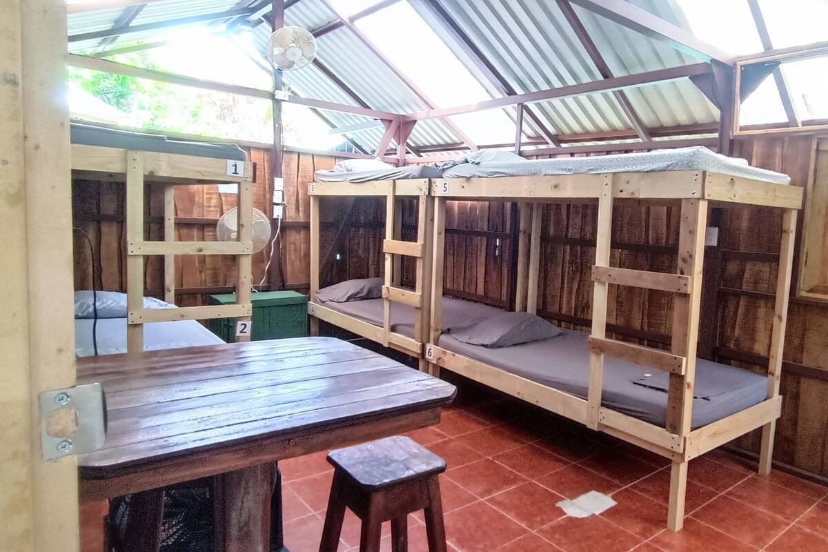 Economy Shared Dormitory