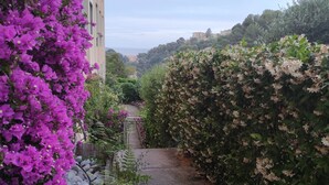 Un sendero bordeado por vibrantes buganvillas moradas y un follaje verde denso, que conduce a un edificio con un balcón visible.